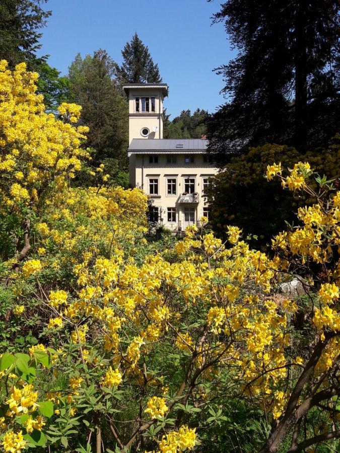Rapunzel Trifft Dornroeschen Villa Rosenthal-Bielatal Exterior photo